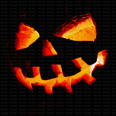 pumpkin - GIF animado gratis