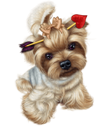 valentine dog by nataliplus - Free PNG