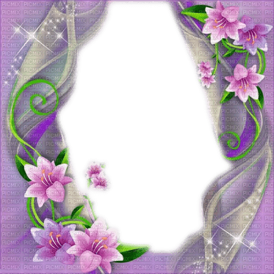 frame cadre flowers - darmowe png
