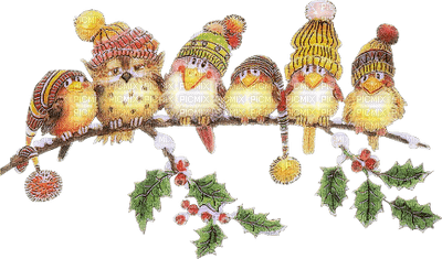 Christmas birds bp - besplatni png