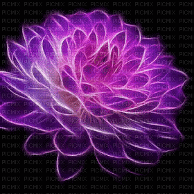 MMarcia gif flores fleur lilas fundo - Darmowy animowany GIF