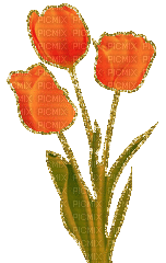 orange tulips glitter - GIF animé gratuit