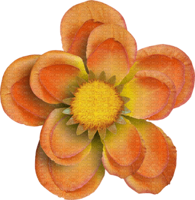 Kaz_Creations Deco Flower Autumn  Colours - PNG gratuit
