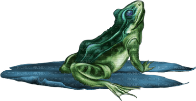 Kaz_Creations Frogs Frog - ingyenes png