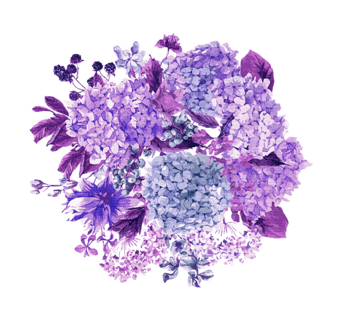 purple flowers Bb2 - nemokama png