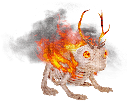 FLAMING SKELETON FROG YEAH BABY LET'S GO - фрее пнг