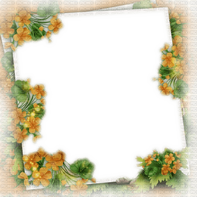 frame cadre flowers - Free PNG