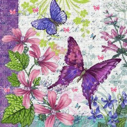 soave background animated flowers butterfly - GIF animasi gratis