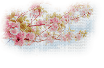 branche fleurie rose - PNG gratuit