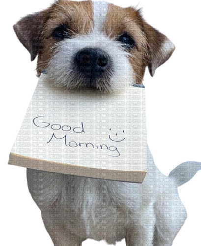 dog text - Free PNG