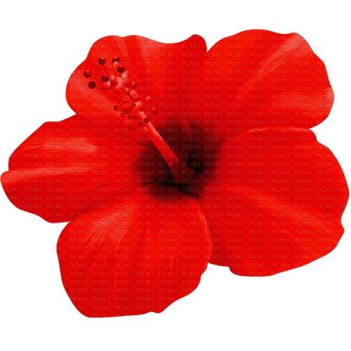 Flower.Red - gratis png