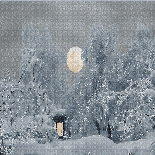 background animated hintergrund winter milla1959 - Gratis animerad GIF
