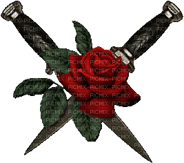 roses GS - GIF animasi gratis
