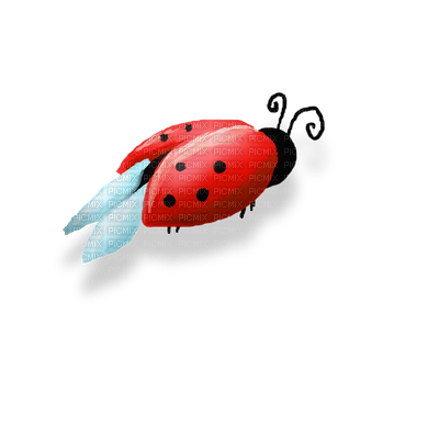 Kaz_Creations Ladybugs Ladybug - ilmainen png