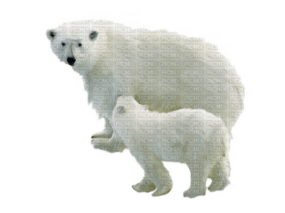 ours - zadarmo png