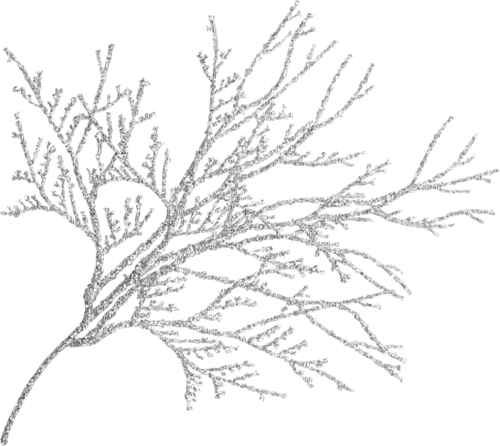 winter deco by nataliplus - zadarmo png