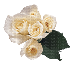 Kaz_Creations Deco Flowers Roses Flower - 無料png