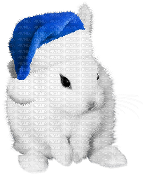 soave christmas winter bunny animals deco - Free PNG