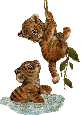 Kaz_Creations Tigers Cubs - бесплатно png