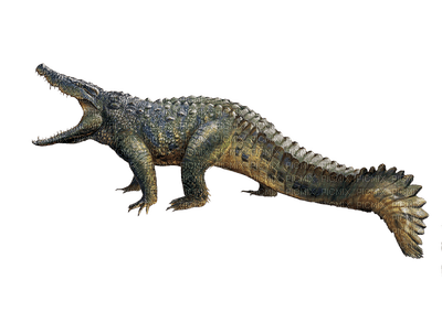 crocodile - gratis png