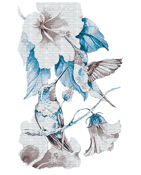 soave deco bird flowers hummingbird blue brown - besplatni png