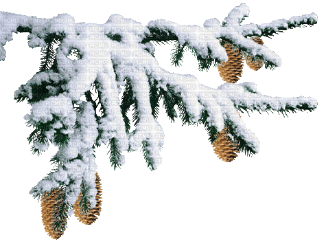snow - Darmowy animowany GIF