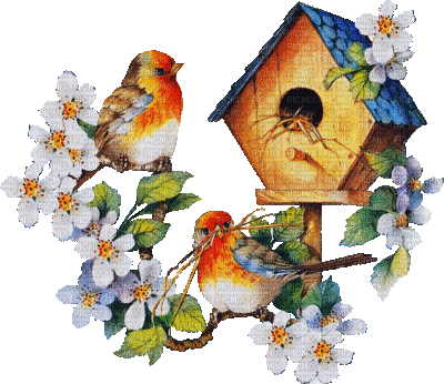 vogel branch garden jardin   animal summer ete bird oiseau spring printemps flower fleur blossom gif anime animated animation house maison vogelhaus - GIF เคลื่อนไหวฟรี
