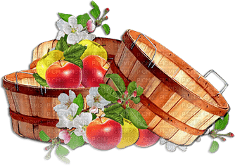soave deco apple red brown yellow - безплатен png