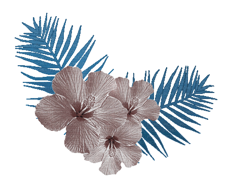 soave deco flowers tropical summer blue brown - GIF animé gratuit