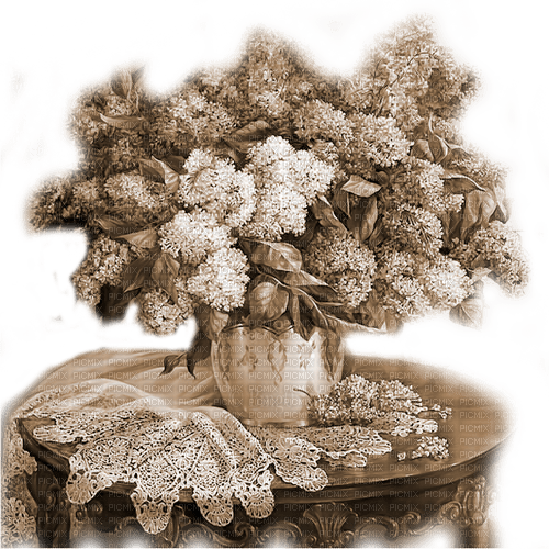 Y.A.M._Vintage Flowers Sepia - zadarmo png