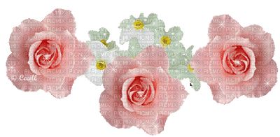 3 rosasrosas - 無料png