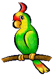 Bird - 免费动画 GIF