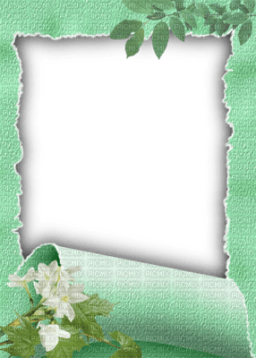 Cadre.Frame.Green.Victoriabea - 免费PNG