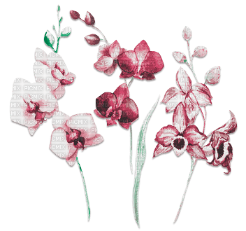 soave deco  flowers spring  garden pink green - PNG gratuit