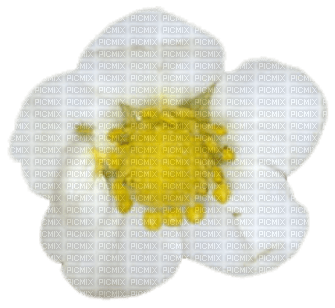 Fleur blanche.White flower.Victoriabea - gratis png