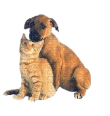 gato i perro dubravka4 - PNG gratuit