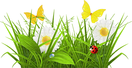 Y.A.M._Summer Flowers Decor - Free PNG