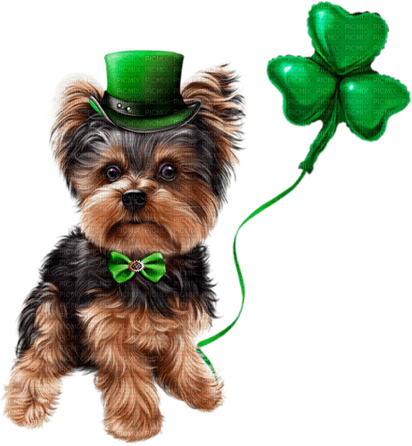 st. Patrick dog  by nataliplus - png gratuito