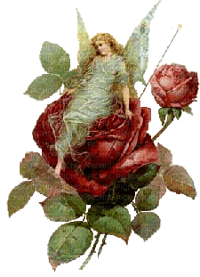 rose fairy bp - Besplatni animirani GIF