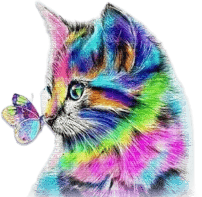 soave cat butterfly animals deco rainbow - png grátis