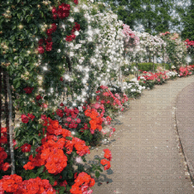 Garden Background - Δωρεάν κινούμενο GIF