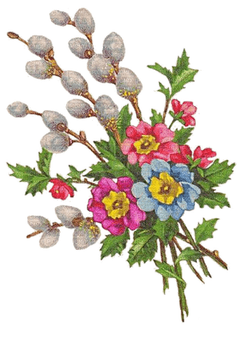Weidenkätzchen, Primeln, Vintage, Blumen - Free PNG