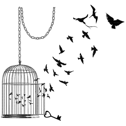 Cage.Jaula.Birds.Oiseaux. - PNG gratuit