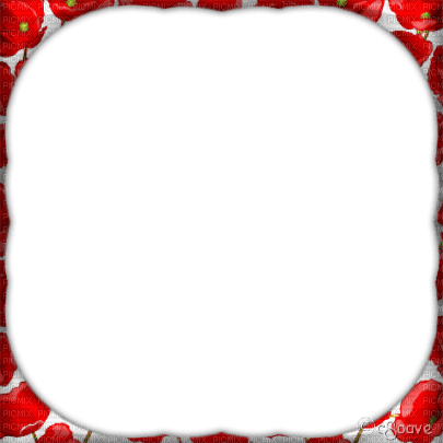 soave frame corner flowers poppy  red white - 免费PNG