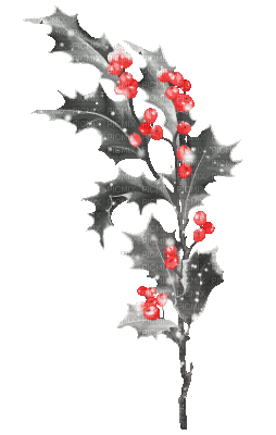 soave deco christmas  winter animated branch holly - Gratis animeret GIF