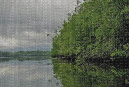 charmille _ paysage _ pluie - Free animated GIF