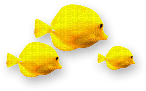 Fish.Yellow - PNG gratuit