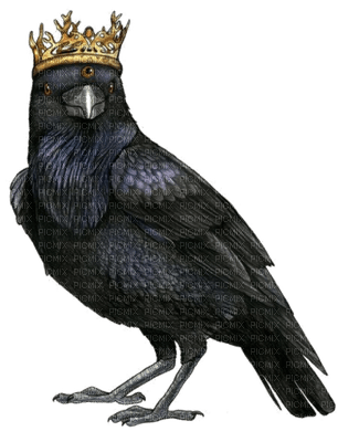 Raven King - png gratuito