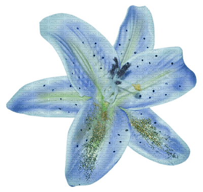 Kaz_Creations Deco Flowers Flower Blue - png gratis