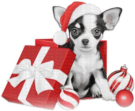 soave animals dog christmas winter black white - zadarmo png